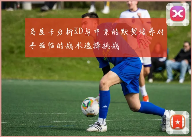 乌度卡分析KD与申京的默契培养对手面临的战术选择挑战